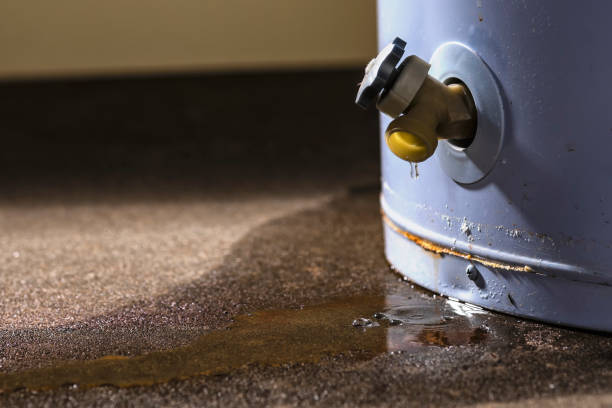Best Water damage repair service  in Sarcoxie, MO