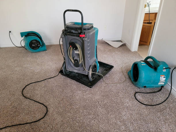  Sarcoxie, MO Water damage restoration Pros