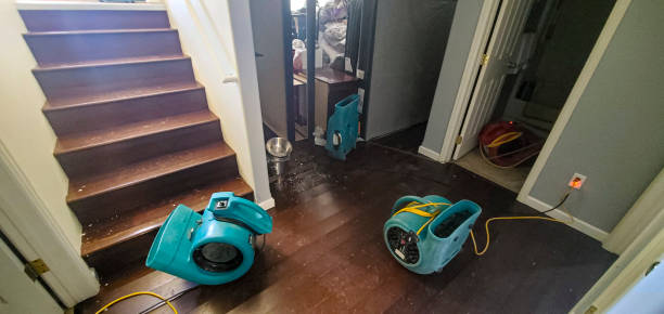 Best Carpet water damage restoration  in Sarcoxie, MO