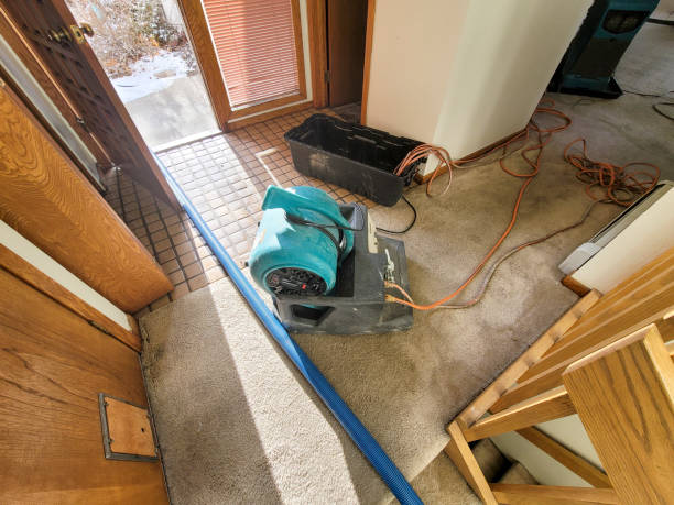 Best Local water damage restoration  in Sarcoxie, MO