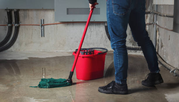 Trusted Sarcoxie, MO Water damage restoration Experts